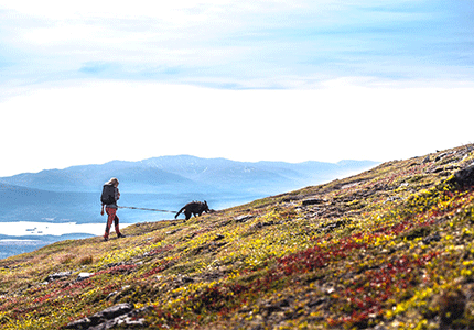 Fjällmaraton 2020